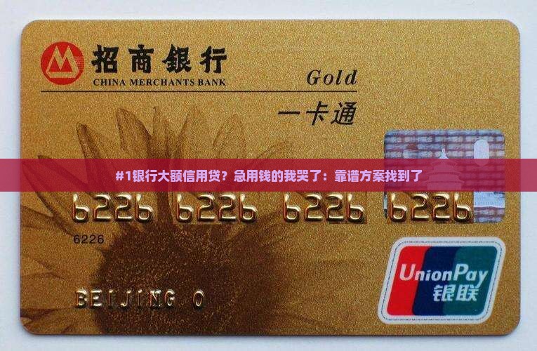 哪家银行大额信用贷款