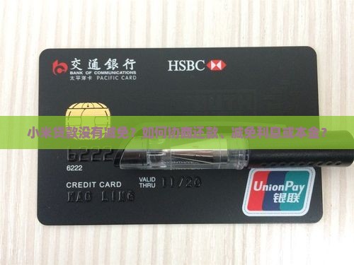 小米贷款没有减免