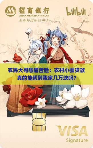 农村小额贷款前景分析