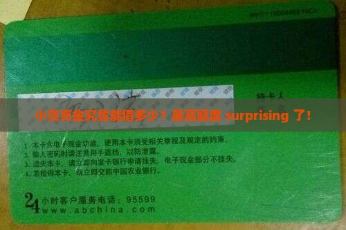 小贷资金最高贷款额