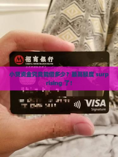 小贷资金最高贷款额