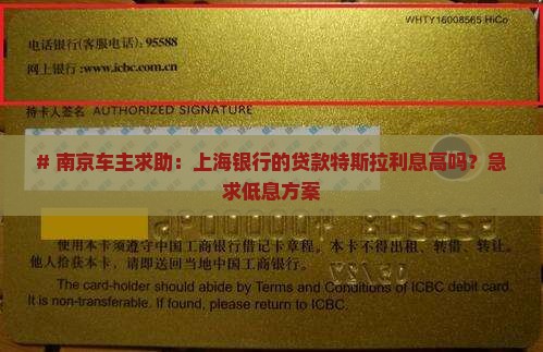 南京贷款特斯拉上海银行