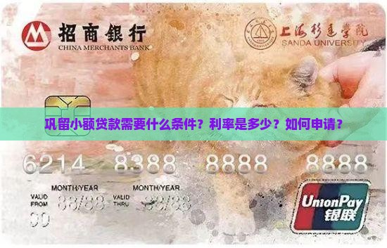 巩留小额贷款
