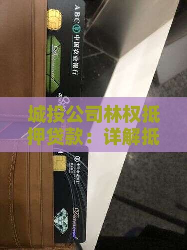 城投公司林权抵押贷款
