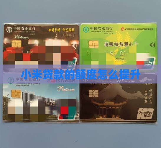 小米贷款额度怎么没