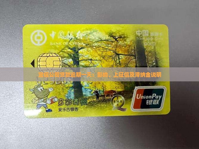 宜信公司贷款逾期一天