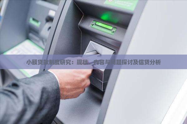 小额贷款制度研究