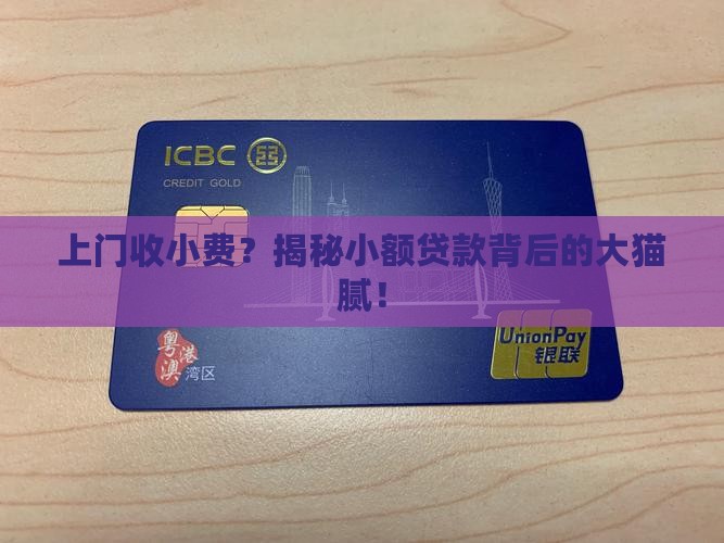 小额贷款收上门费