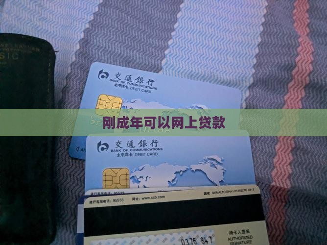 刚成年网上贷款