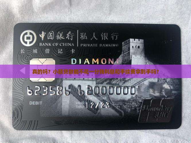 小额贷款免息免手续费吗