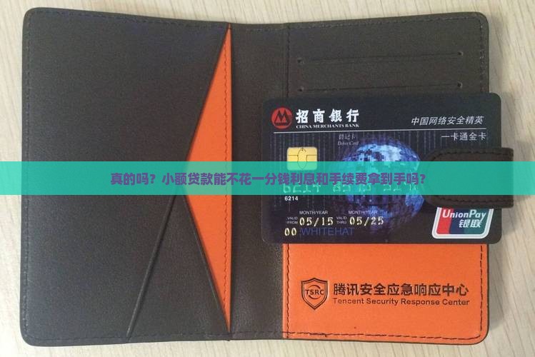 小额贷款免息免手续费吗