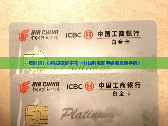 小额贷款免息免手续费吗