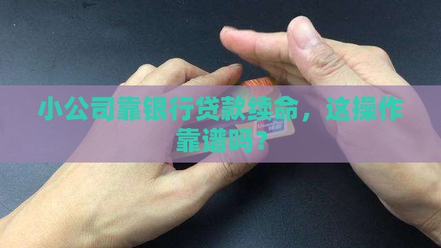 小公司靠银行贷款运作
