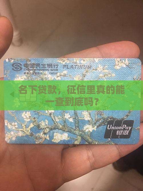 征信能不能查到名下贷款