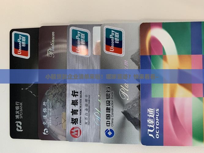 小额贷款企业清单