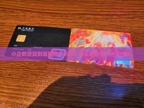 小企鹅贷款可以贷多少