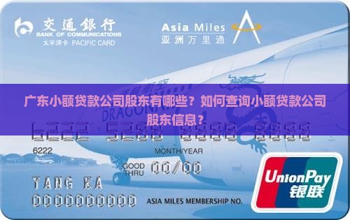 广东小额贷款股东