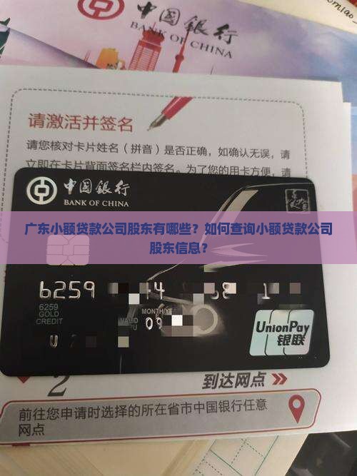 广东小额贷款股东