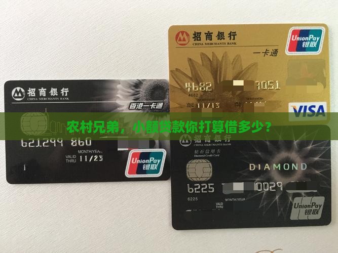 小额贷款村民能贷多少钱