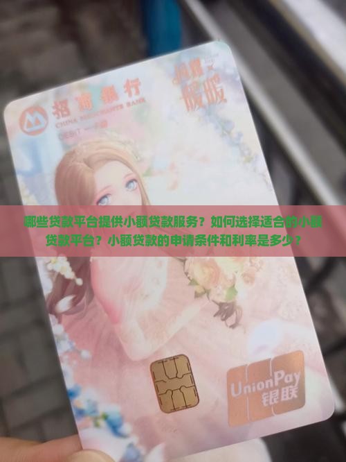 哪些贷款平台有小贷款