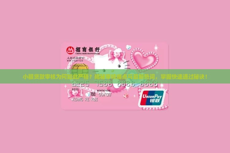 小额贷款审核内容
