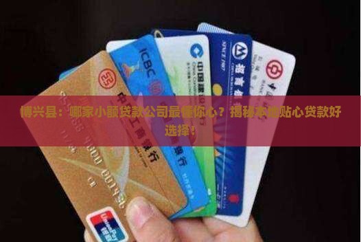 博兴县小额贷款有哪些公司 博兴县小额贷款有哪些公司