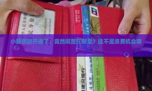 小额贷款开通了不用