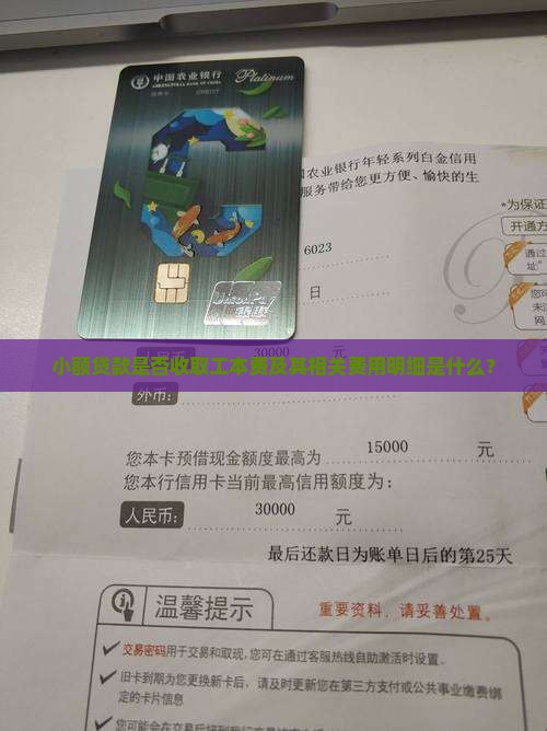 小额贷款有没有工本费
