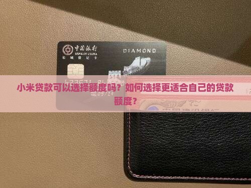 小米贷款可以选择额度吗