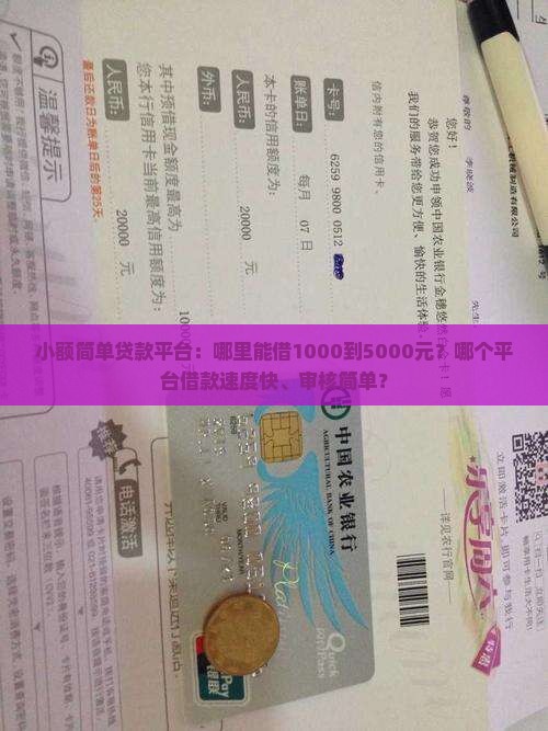 小额简单贷款平台