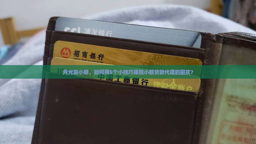 小额贷款代理