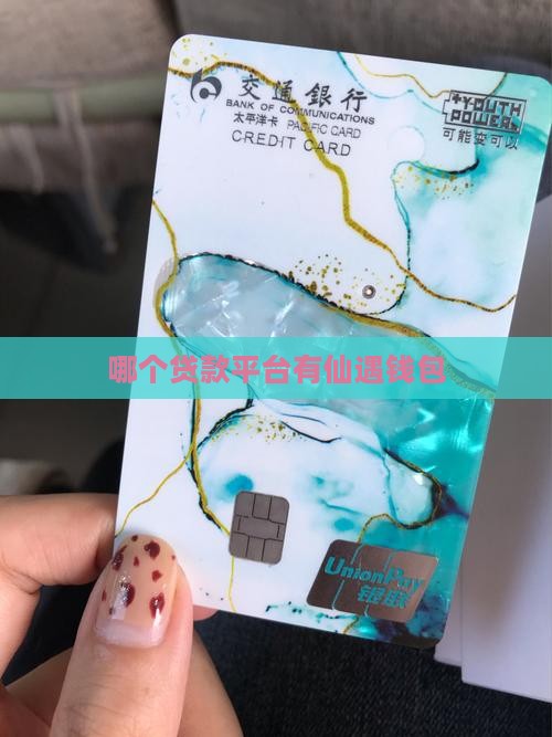 哪个贷款平台有仙遇钱包