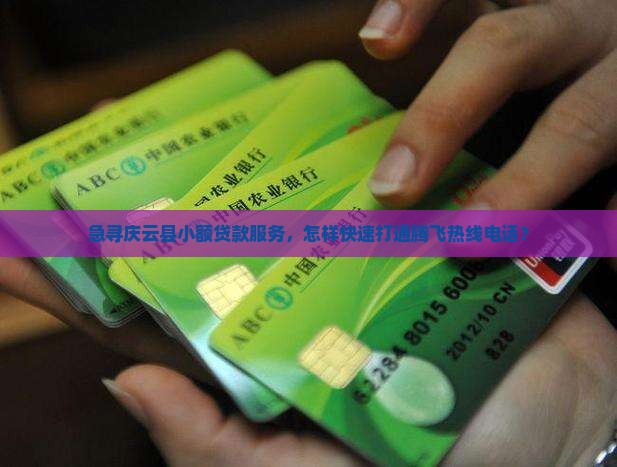 庆云县腾飞小额贷款电话