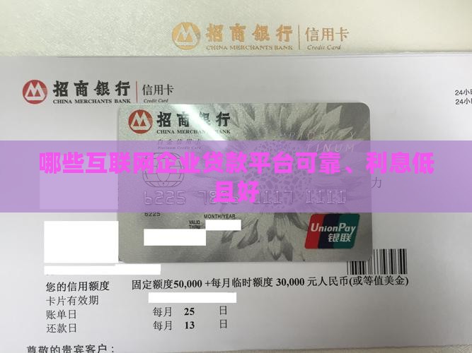 哪些互联网企业贷款平台