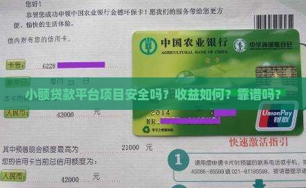 小额贷款平台项目怎么样