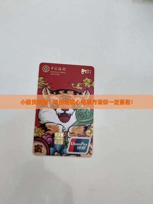 小额贷款拓展方案