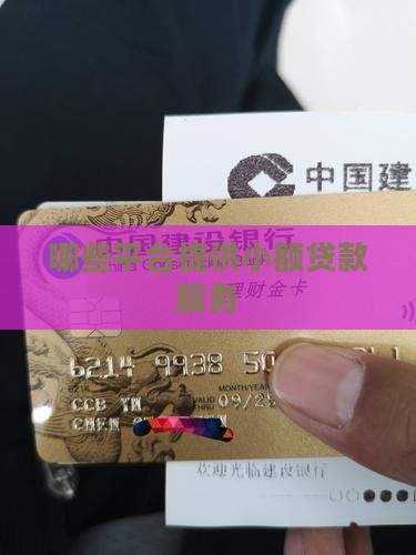 哪些平台有小贷贷款