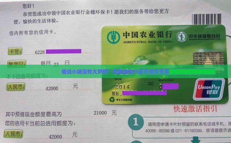 凤阳金鼎小额贷款