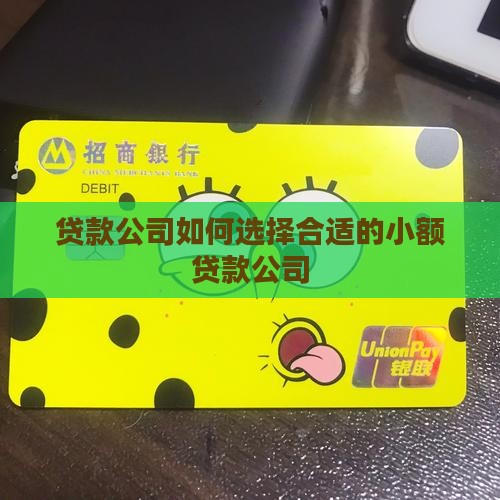可贷款的公司