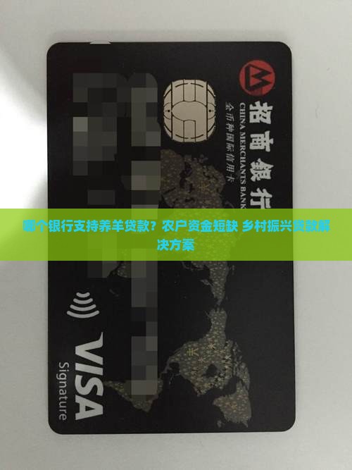 哪个银行支持养羊贷款