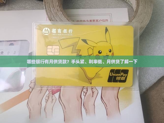哪些银行有月供贷款
