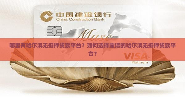 哈尔滨无抵押贷款平台