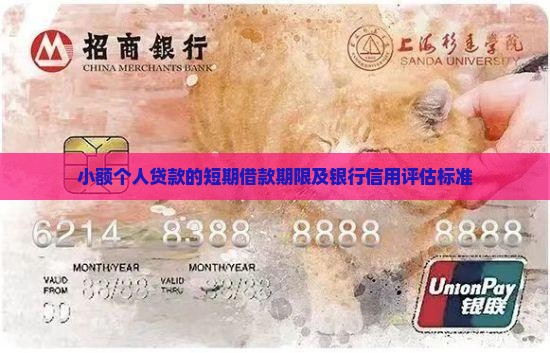 小额贷款可以贷多少年
