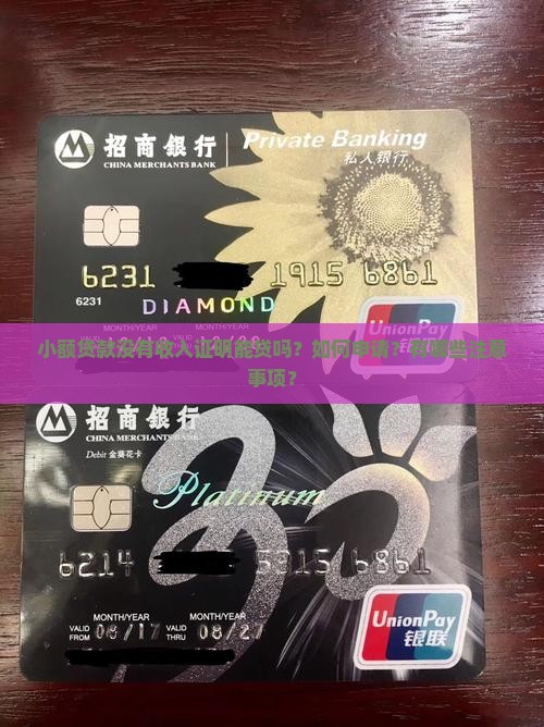 小额贷款没有收入证明