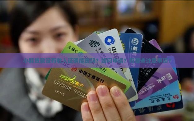 小额贷款没有收入证明