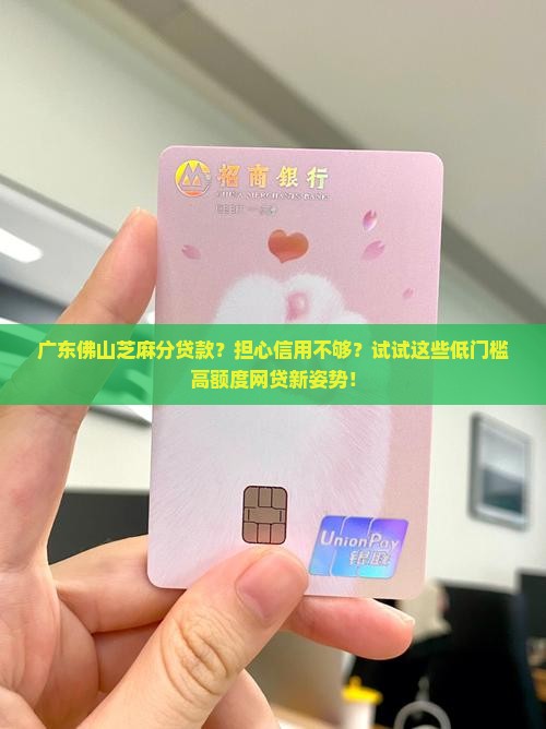 广东佛山芝麻分贷款