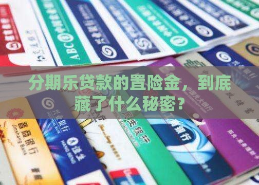 分期乐贷款置险金