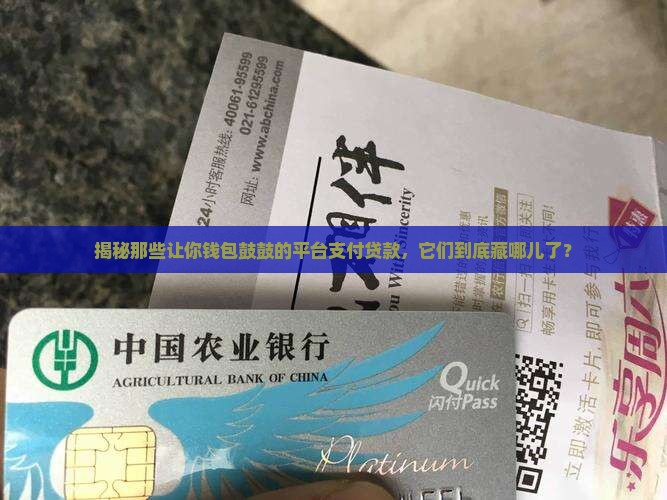 平台支付贷款是什么平台
