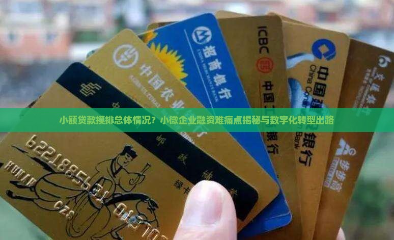 小额贷款摸排总体情况