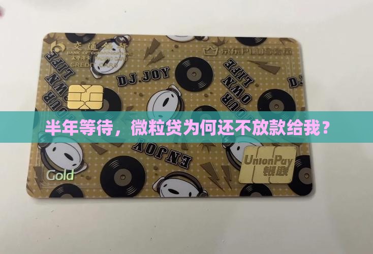 微粒贷半年不批贷款